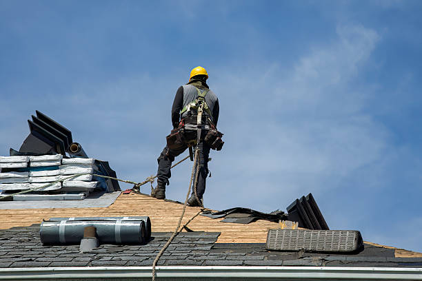 Professional Roof Replacement technician working in Proctor, MT
